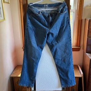 terra & SKY Women's Blue Denim Jeans 14 W Petite Good